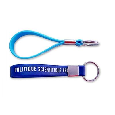 100% Silicone Mặt dây Khuyến Keychain, kim loại Phụ kiện, Pantone Màu